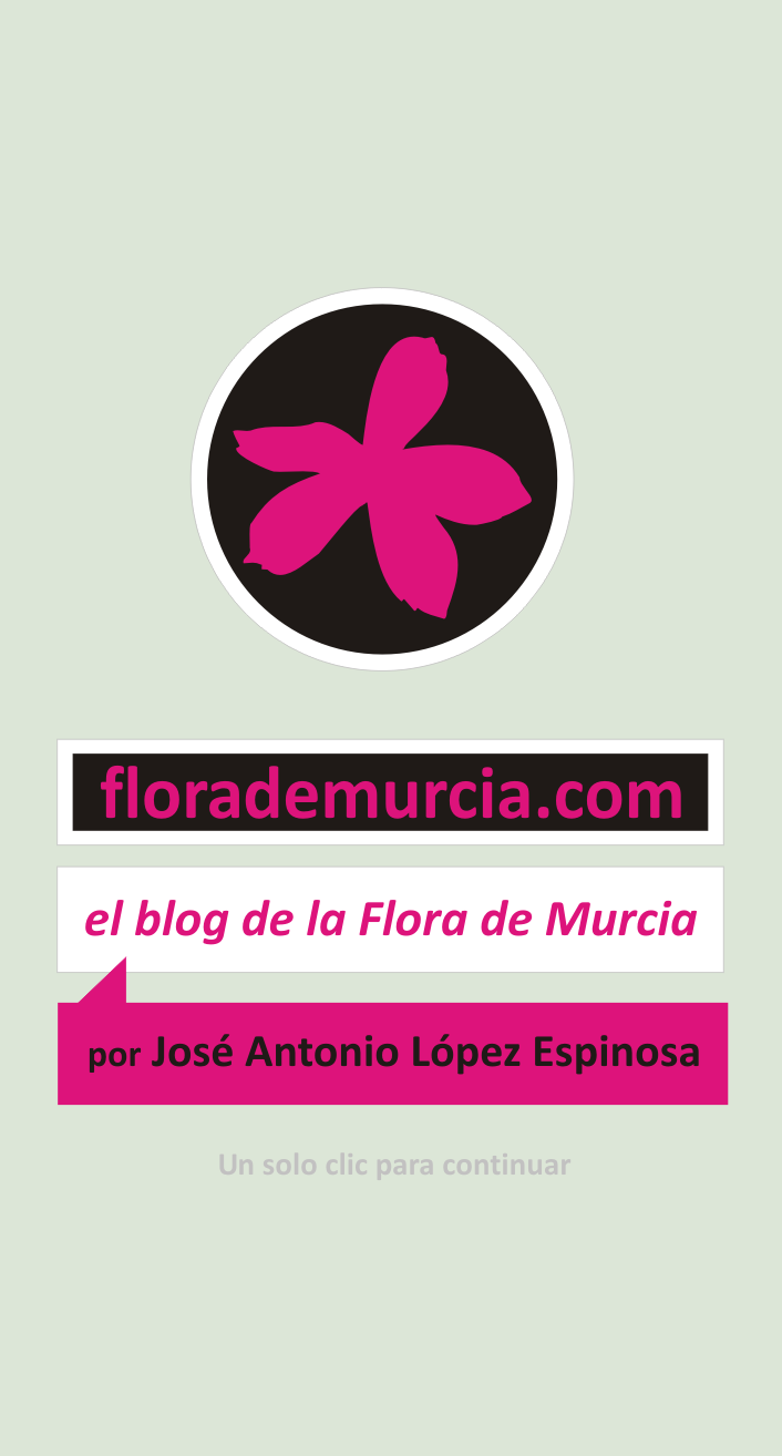 El blog de la Flora de Murcia