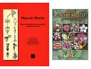  Las dos ltimas ediciones de la Flora de Murcia 